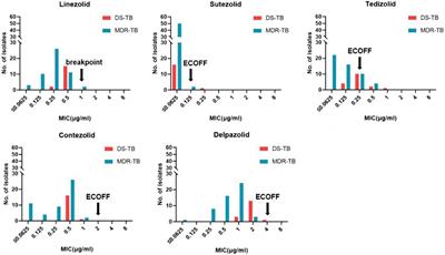 Novel oxazolidinones harbor potent in vitro activity against the clinical isolates of multidrug-resistant Mycobacterium tuberculosis in China